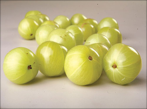 AMLA